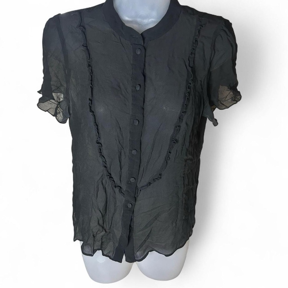 Banana Republic Sheer Black Ruffle Blouse